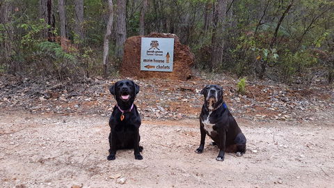 Jarrah Grove Forest Retreat - Surfers Paradise Gold Coast 21