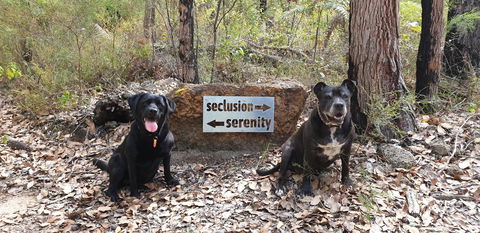 Jarrah Grove Forest Retreat - Surfers Paradise Gold Coast 23