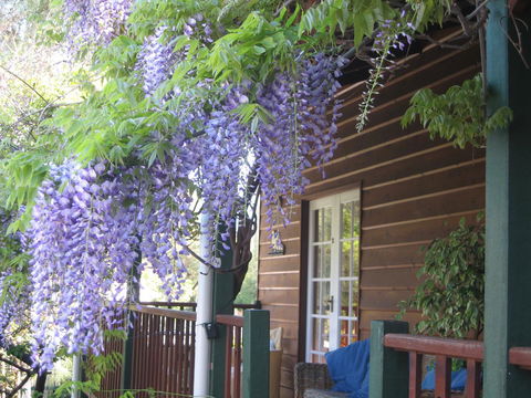 RoseMoore Bed & Breakfast - Surfers Paradise Gold Coast 11