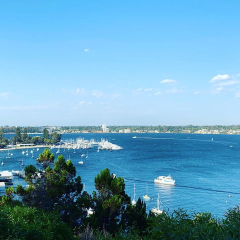SEA BREEZE â€“ Between Cottesloe Beach & Swan River - Surfers Paradise Gold Coast 23