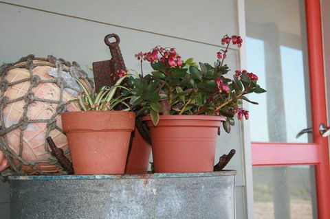 Bremer Bay B&B - Surfers Paradise Gold Coast 28