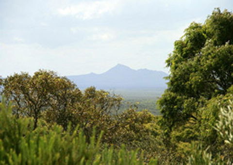 Bremer Bay B&B - Surfers Paradise Gold Coast 32