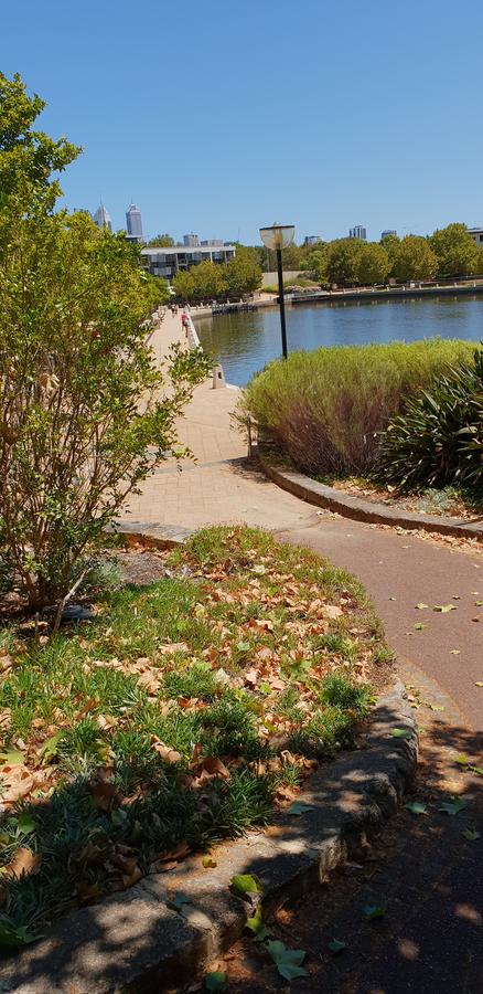 Superb 2 BR East Perth Riverside Apartment Location Comfort And Space 45 - Surfers Paradise Gold Coast 2