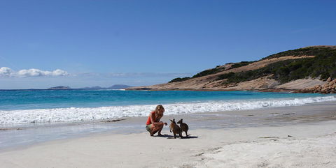 Esperance YHA - Surfers Paradise Gold Coast 19