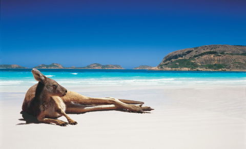 Esperance YHA - Surfers Paradise Gold Coast 14
