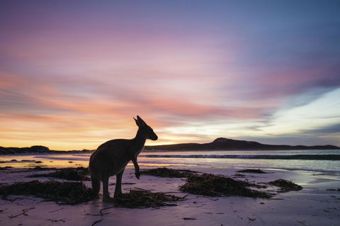 Esperance YHA - Surfers Paradise Gold Coast 20