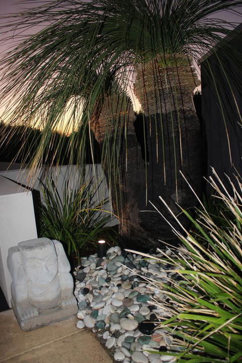 Aquatic Visions - Surfers Paradise Gold Coast 31
