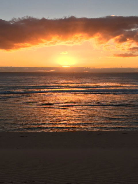 Aquatic Visions - Surfers Paradise Gold Coast 35