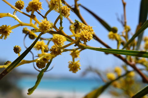 Eagle Bay House - Surfers Paradise Gold Coast 12
