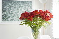 Book Kingston Beach Accommodation Vacations Surfers Paradise Gold Coast Surfers Paradise Gold Coast