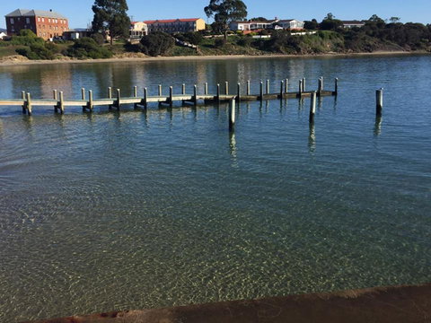 Swansea Holiday Park Tasmania - Surfers Paradise Gold Coast 40