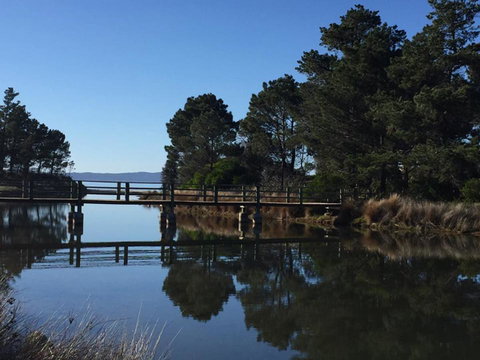 Swansea Holiday Park Tasmania - Surfers Paradise Gold Coast 41