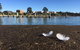 Swansea Holiday Park Tasmania - thumb 39
