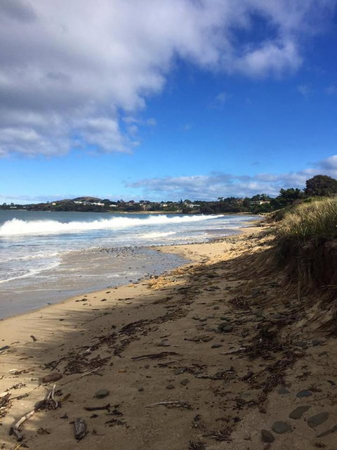 Swansea Holiday Park Tasmania - Surfers Paradise Gold Coast 15
