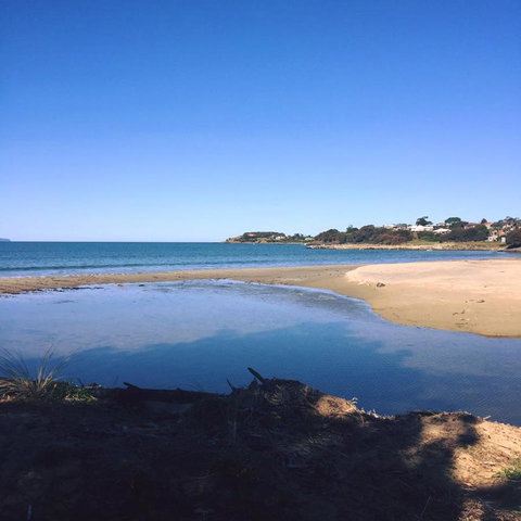 Swansea Holiday Park Tasmania - Surfers Paradise Gold Coast 14
