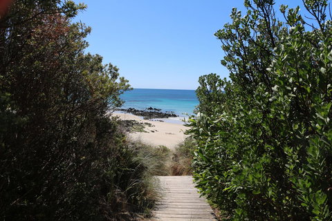 Sisters Beach Paradise - Surfers Paradise Gold Coast 12