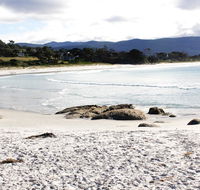 Mermaids of Bicheno - Surfers Paradise Gold Coast