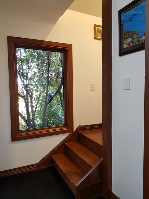 Riverside Studioâ˜†Privateâ˜† - Surfers Paradise Gold Coast 12