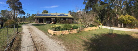 Eureka Farm - Surfers Paradise Gold Coast 1