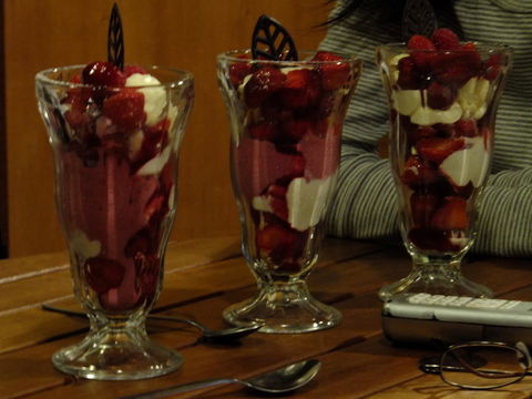 Eureka Farm - Surfers Paradise Gold Coast 18