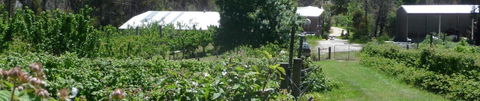 Eureka Farm - Surfers Paradise Gold Coast 25