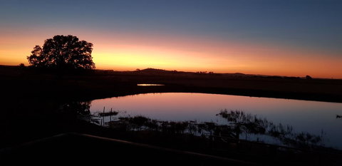 New Horizons Farm Stay - Surfers Paradise Gold Coast 1