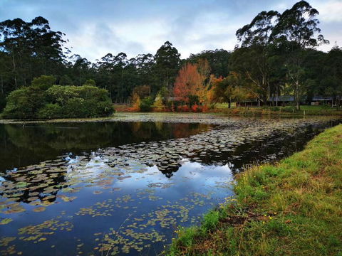 OCT Forest Lodge - Surfers Paradise Gold Coast 2