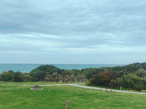 ODYSSEY APOLLO BAY - Surfers Paradise Gold Coast 2
