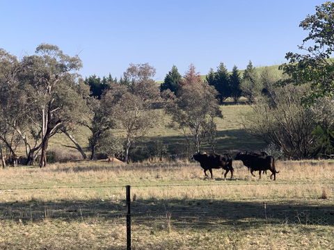 OConnell Retreat BnB - Surfers Paradise Gold Coast 1