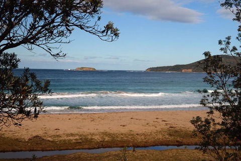 Pebbly Beach Shacks - Surfers Paradise Gold Coast 0