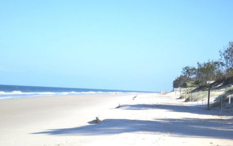 Pet Friendly Home Walking Distance To Surf Beach - North St, Woorim - Surfers Paradise Gold Coast 3