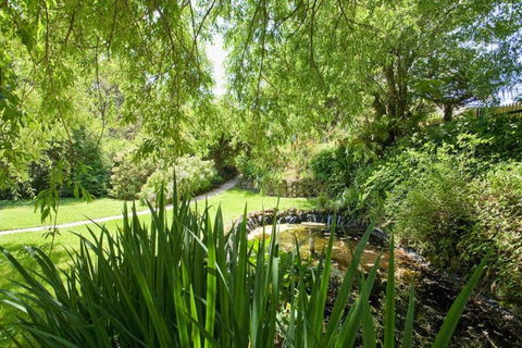 PLUM TREE COTTAGE - Spa Cottage With Woodfire - Surfers Paradise Gold Coast 3