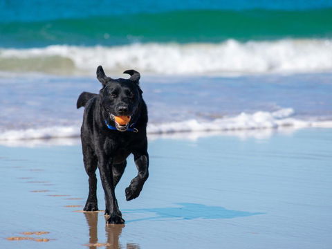 Ralph's Cottage Orion Drive Yamba - Pet Friendly Photos Available Shortly Free Wi-Fi - Surfers Paradise Gold Coast 1