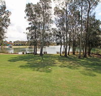 Ray of Sunshine - Waterfront Reserve - Surfers Paradise Gold Coast