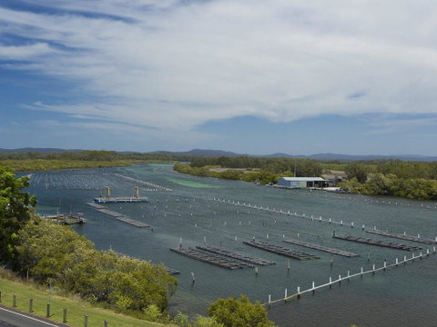 Regatta 19 - Surfers Paradise Gold Coast 1