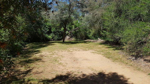 Riverview Caravan Park - Surfers Paradise Gold Coast 3