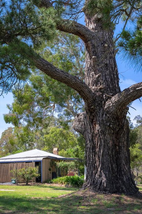 Rose Cottage - Surfers Paradise Gold Coast 3