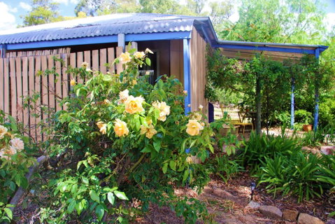 Rose Cottage - Surfers Paradise Gold Coast 2