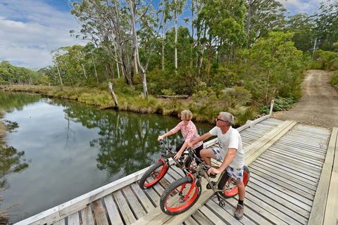 Saintys Creek Cottage - Surfers Paradise Gold Coast 2