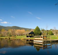 Sanctuary Park Cottages - Surfers Paradise Gold Coast