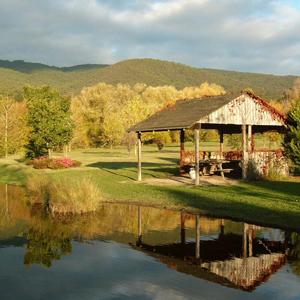 Sanctuary Park Cottages - Surfers Paradise Gold Coast 3