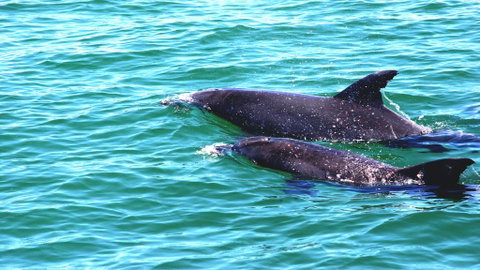 Sandbar 103 - Forster Main Beach - Surfers Paradise Gold Coast 3