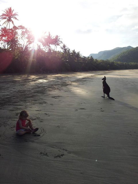 Seaforth Holiday Units - Surfers Paradise Gold Coast 3