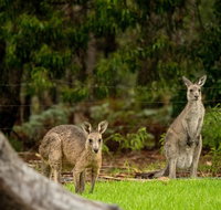 Secura Lifestyle Countryside Kalaru - Surfers Paradise Gold Coast