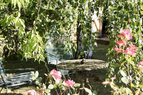 Silver Birch B&B - Surfers Paradise Gold Coast 3