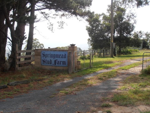Springmead B&B - Surfers Paradise Gold Coast 2