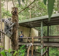 Springwood Meditation Centre - Surfers Paradise Gold Coast