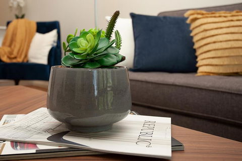 STAY&CO North Sydney Crows Nest - Surfers Paradise Gold Coast 1