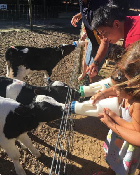Sunflowers Animal Farm & Farmstay - Surfers Paradise Gold Coast 3