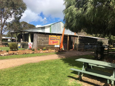 Sunflowers Animal Farm & Farmstay - Surfers Paradise Gold Coast 2